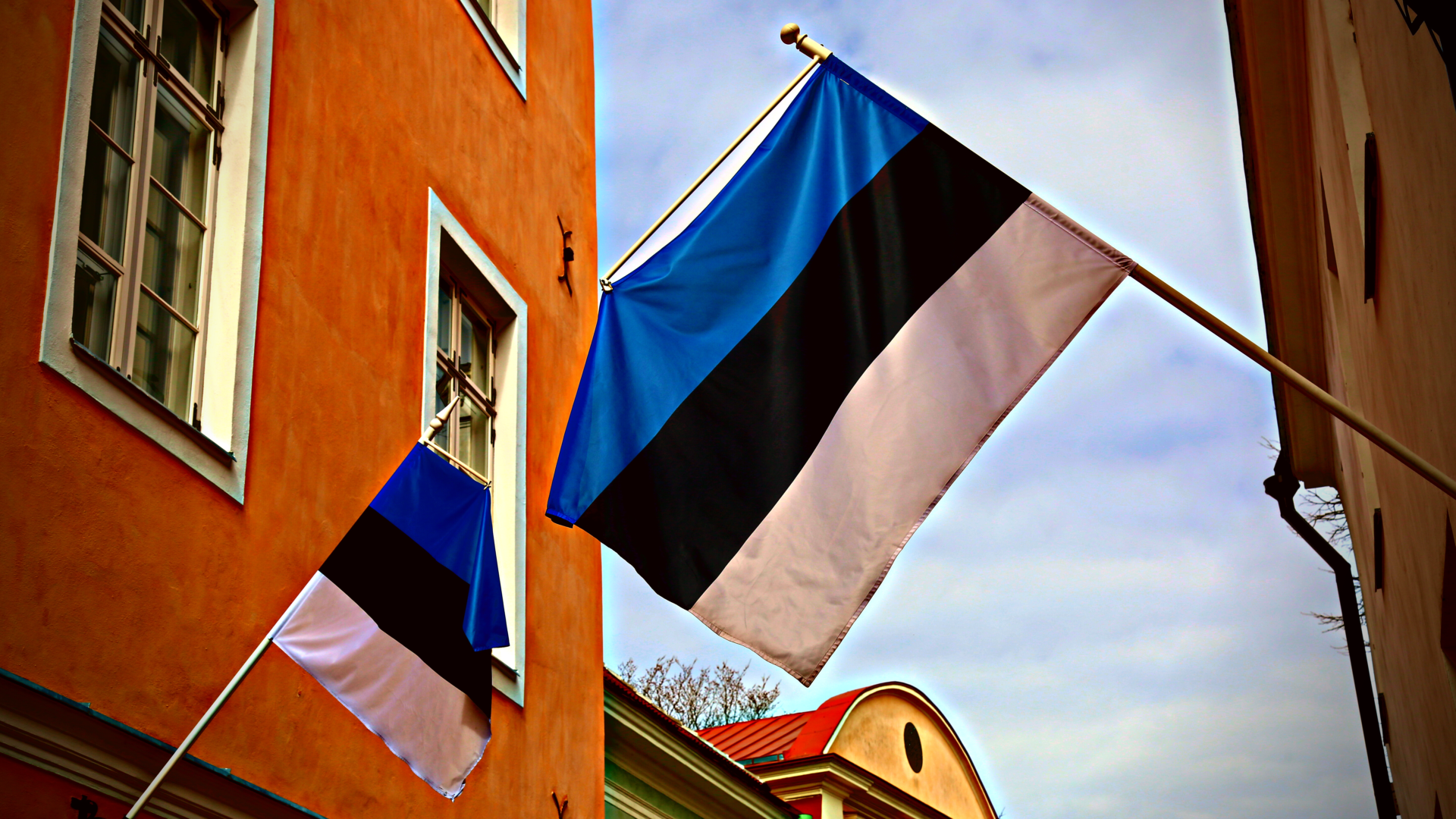 Estonya'da Şirket Kuruluşu, Oturum İzni ve Marina Vize Başvuru Merkezi İle Detaylı Rehber